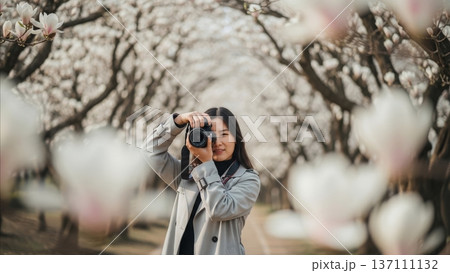 Asian woman photographer taking pictures with camera under blooming magnolia trees in spring park pathway 137111132