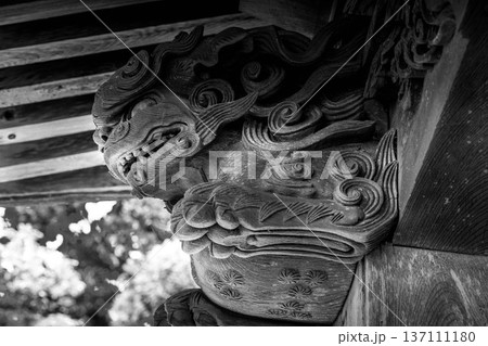神社拝殿の彫刻~木鼻(獏鼻)~ 神社拝殿の彫刻~木鼻(獏鼻)~ 137111180
