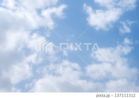 春の空 青空 晴れ 2月 イメージ 137111312