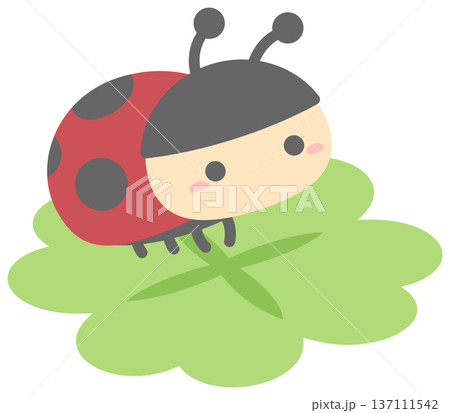 四つ葉のクローバーとかわいいてんとう虫 137111542