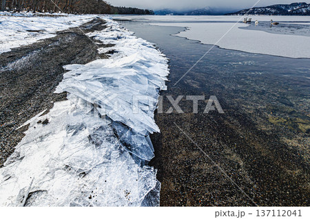 氷結する屈斜路湖と静かな湖畔 ひび割れた氷のディテール 137112041