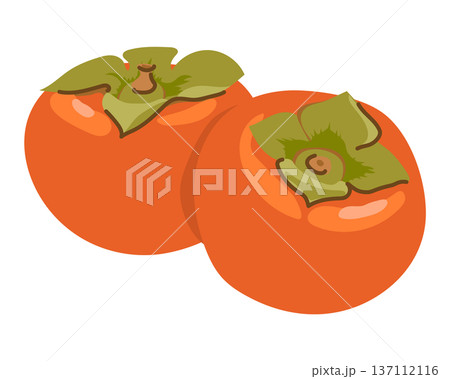 Two orange persimmons on a white background. A new illustration of a common fruit in Asia and the Middle East. Two orange persimmons on a white background. A new illustration of a common fruit in Asia and the Middle East. 137112116
