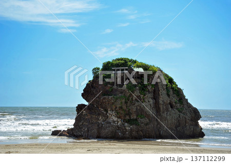 島根　稲佐の花 137112299