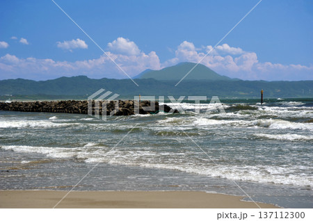 島根　稲佐の花 137112300