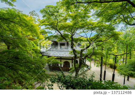 京都 西山 善峯寺の経堂。新緑の楓に包まれた江戸時代の貴重な建築物 京都 西山 善峯寺の経堂。新緑の楓に包まれた江戸時代の貴重な建築物 137112486