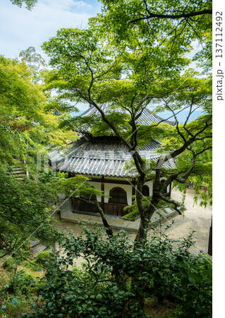 京都 西山 善峯寺の経堂。新緑の楓に包まれた江戸時代の貴重な建築物 137112492