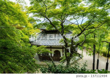京都 西山 善峯寺の経堂。新緑の楓に包まれた江戸時代の貴重な建築物 京都 西山 善峯寺の経堂。新緑の楓に包まれた江戸時代の貴重な建築物 137112494