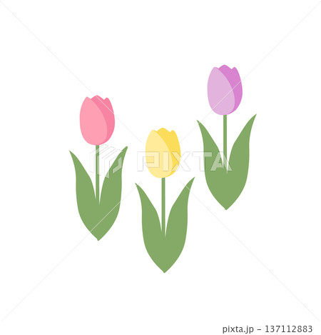 シンプルなチューリップのイラスト　春素材　春の花 137112883