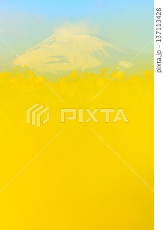 ソレイユの丘 菜の花と富士山 ソレイユの丘 菜の花と富士山 137113428