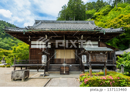 京都 西山 善峯寺の開山堂。新緑の山々に囲まれた静寂な境内の風景 137113460