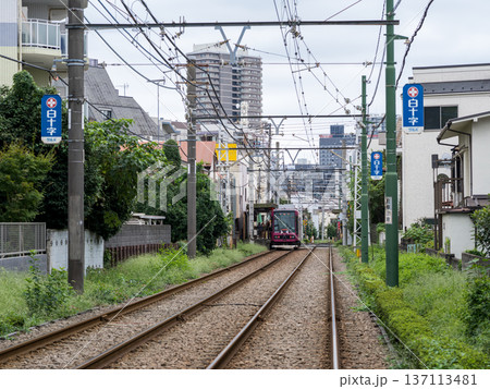 【都電荒川線】停留所に停まる路面電車 【都電荒川線】停留所に停まる路面電車 137113481