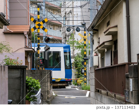 【都電荒川線】住宅街の合間を駆ける路面電車 【都電荒川線】住宅街の合間を駆ける路面電車 137113483