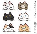 いろいろな種類のひょっこりと顔を出す猫 137113667