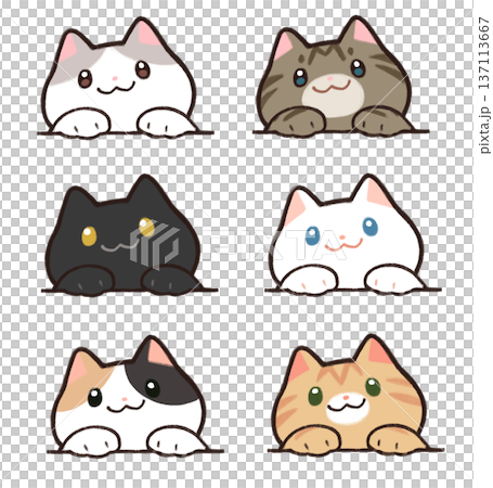 Various types of cats popping out Various types of cats popping out 137113667