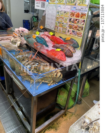 カラフルな魚たち カラフルな魚たち 137113884
