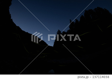 夏の夜空・ホタルの舞う風景 夏の夜空・ホタルの舞う風景 137114038