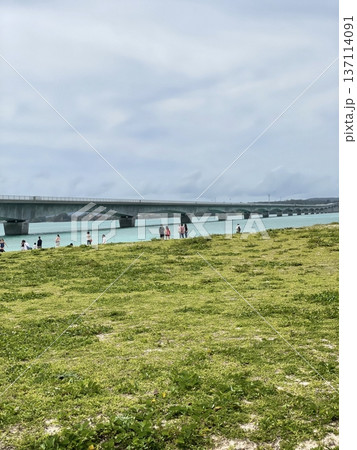 古宇利島から見た大橋 137114091