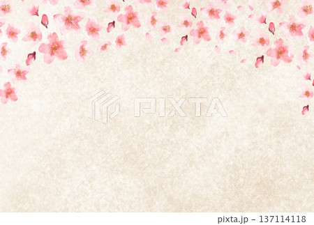 ベージュの和紙に桜の花をあしらった和風の背景イラスト 137114118