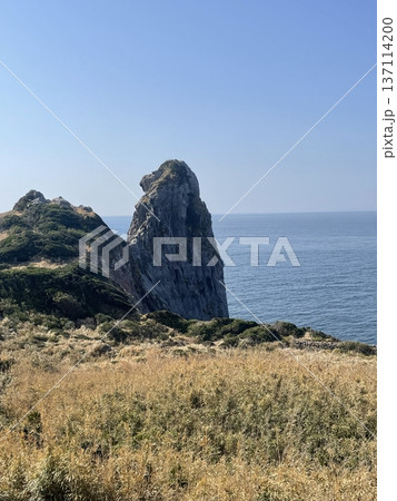 壱峻島の猿岩 壱峻島の猿岩 137114200