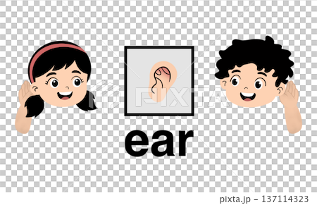 Educational cartoon illustration of little boy and girl pointing to their ears to learn English vocabulary, cute kids body parts flashcard for preschool and kindergarten, isolated on white Educational cartoon illustration of little boy and girl pointing to their ears to learn English vocabulary, cute kids body parts flashcard for preschool and kindergarten, isolated on white 137114323