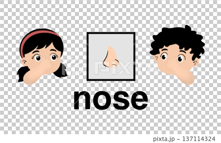 Educational cartoon illustration of human nose with cute boy and girl children pointing to their noses, body parts vocabulary for kids isolated on white background, anatomy lesson for preschool Educational cartoon illustration of human nose with cute boy and girl children pointing to their noses, body parts vocabulary for kids isolated on white background, anatomy lesson for preschool 137114324