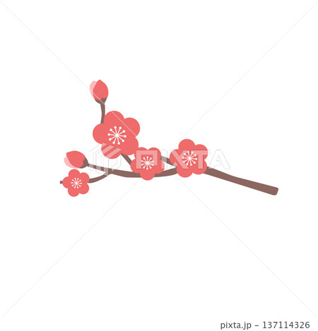 梅の花のイラスト　シンプルな春の花のイラスト　春素材 137114326