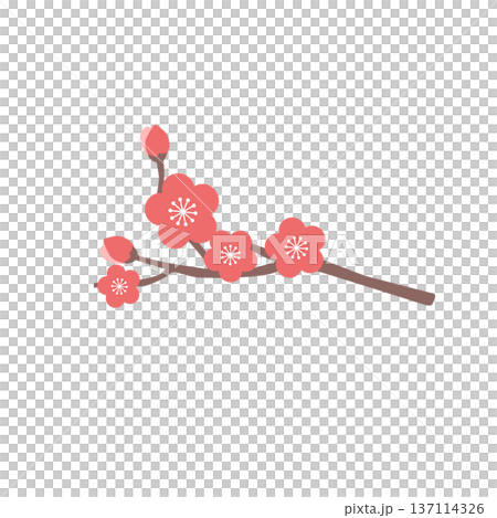梅の花のイラスト　シンプルな春の花のイラスト　春素材 137114326