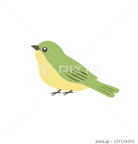 シンプルなウグイスのイラスト 春素材 鳥 シンプルなウグイスのイラスト 春素材 鳥 137114353