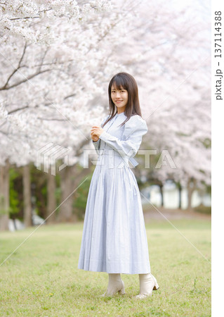 美しい日本女性 137114388