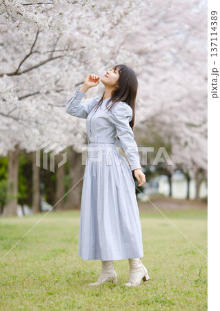 美しい日本女性 美しい日本女性 137114389