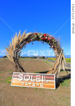 ソレイユの丘 菜の花畑と富士山 ソレイユの丘 菜の花畑と富士山 137114421