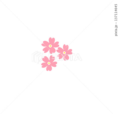 シンプルなサクラソウのイラスト　春素材 137114645