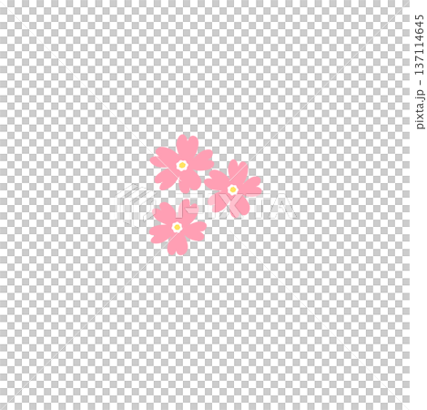 シンプルなサクラソウのイラスト　春素材 137114645