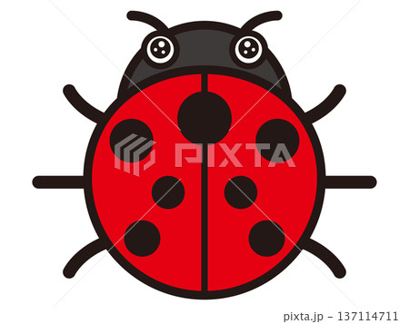 テントウムシのイラスト素材2 137114711