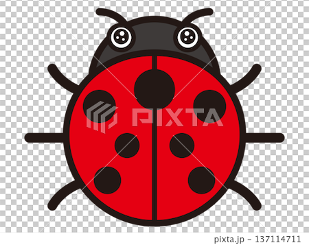 テントウムシのイラスト素材2 137114711