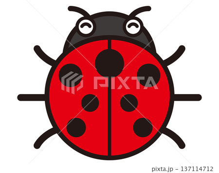 テントウムシのイラスト素材3 137114712
