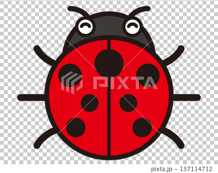 テントウムシのイラスト素材3 137114712