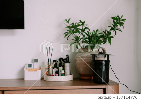 Modern Home Interior with Plant and Electronic Insect Trap Modern Home Interior with Plant and Electronic Insect Trap 137114776