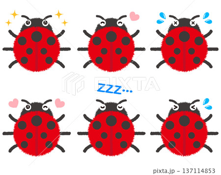 テントウムシのイラスト素材セット テントウムシのイラスト素材セット 137114853