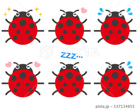 テントウムシのイラスト素材セット3 137114855