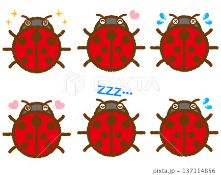 テントウムシのイラスト素材セット4 テントウムシのイラスト素材セット4 137114856