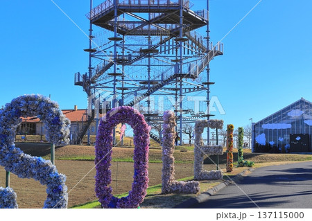 展望台から見る「ソレイユの丘の全景」 137115000