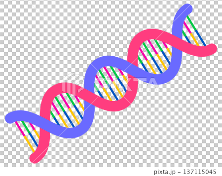 Simple DNA helix structure illustration material 2 Simple DNA helix structure illustration material 2 137115045