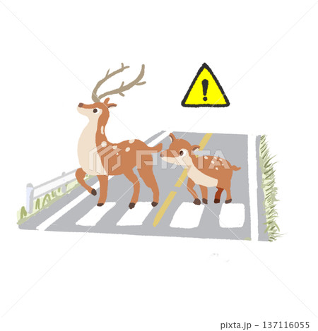 道路を走る親子鹿と注意マーク 横断歩道 交通安全イメージ 道路を走る親子鹿と注意マーク 横断歩道 交通安全イメージ 137116055