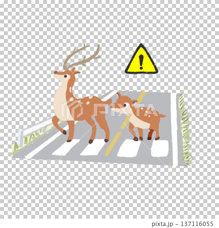 道路を走る親子鹿と注意マーク 横断歩道 交通安全イメージ 道路を走る親子鹿と注意マーク 横断歩道 交通安全イメージ 137116055
