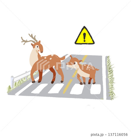 横断歩道でびっくりする親子鹿と注意マーク 交通安全イラスト 137116056