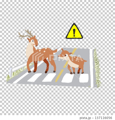 横断歩道でびっくりする親子鹿と注意マーク 交通安全イラスト 137116056