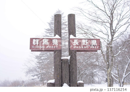 降りしきる雪の中に佇む県境表示板 137116254