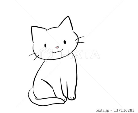 おすまし白猫 座る 137116293