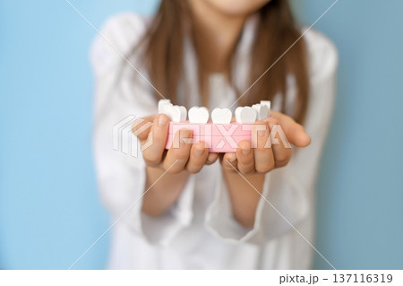 A model of a human jaw with teeth in the hands of a child. Oral hygiene and dental health care from birth. World Dentist's Day 137116319
